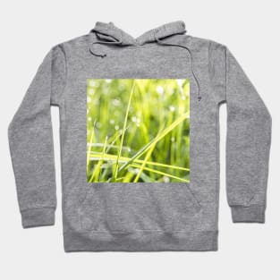 SCENERY 71 - Green Grass Field Outdoor Land Meadow Hoodie